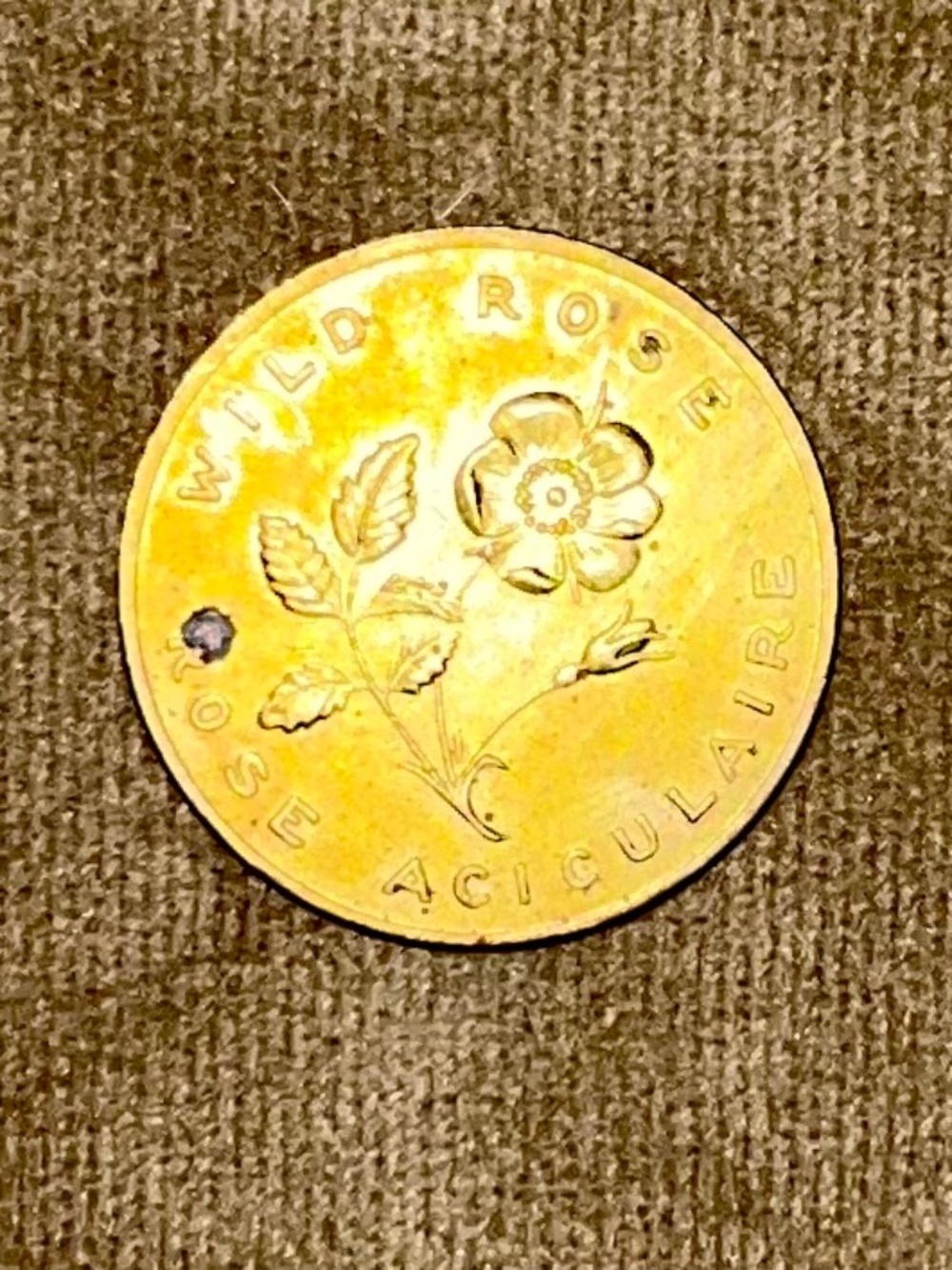 Alberta Agriculture Medal “Wild Rose”